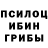 Псилоцибиновые грибы прущие грибы Anatole David