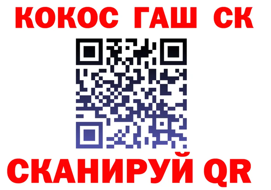 МЯУ-МЯУ 4 MMC как войти это KRAKEN Озёры